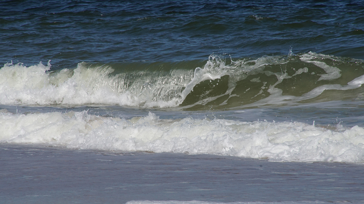 A wave curls as it breaks near the beach
