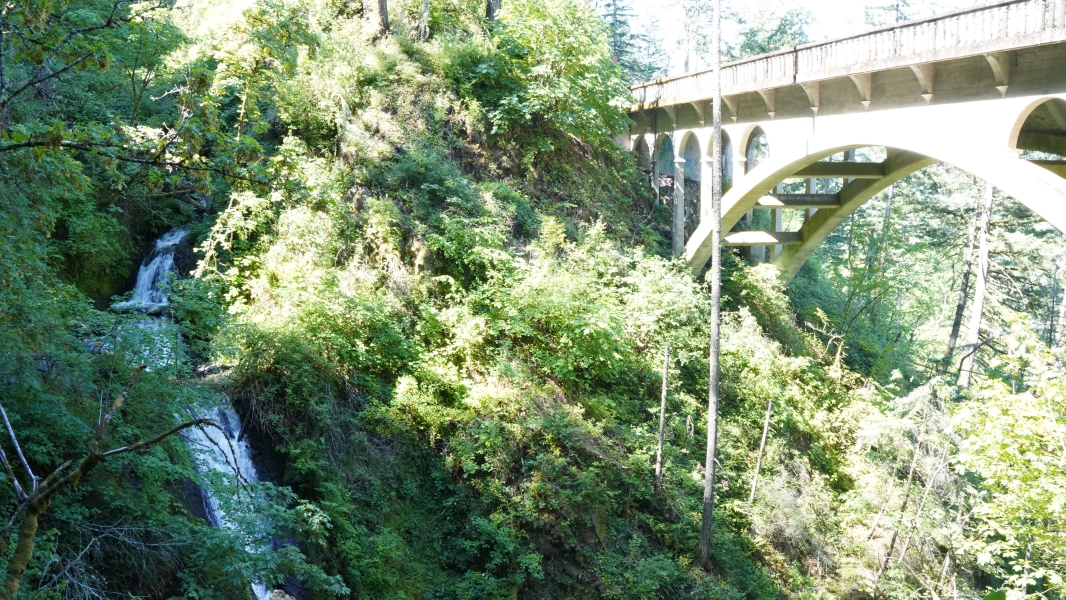 Image Five
