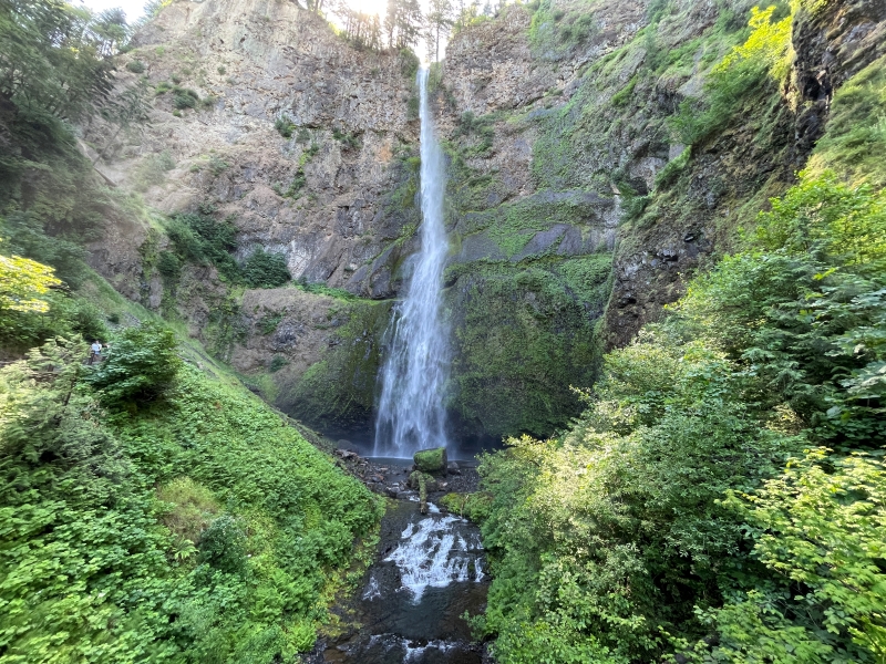 Image Seven
