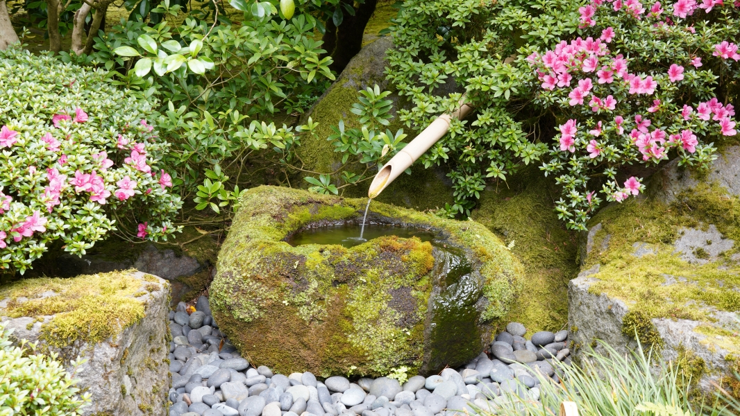 Image Two