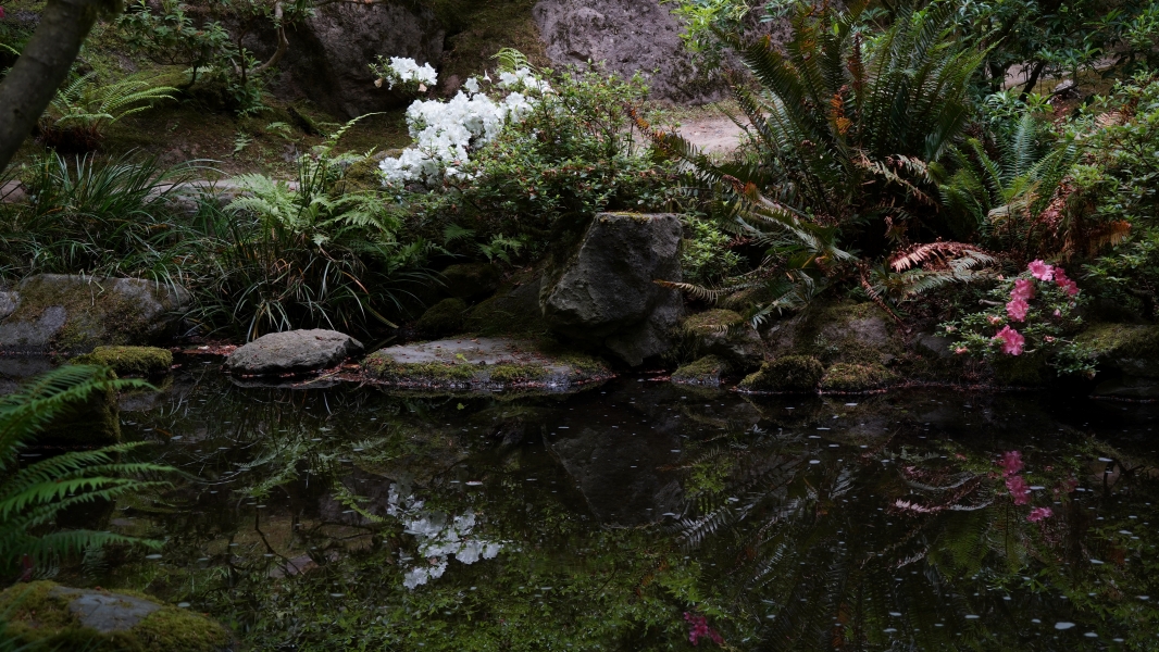 Image Five
