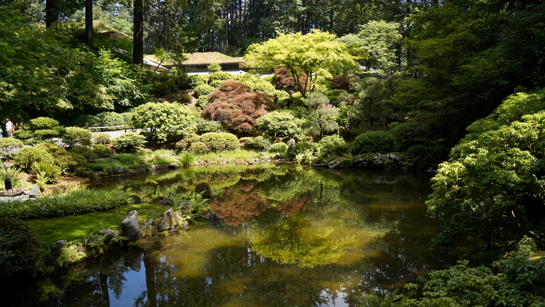Image Eight