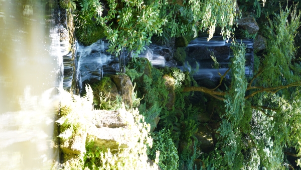 Image Ten