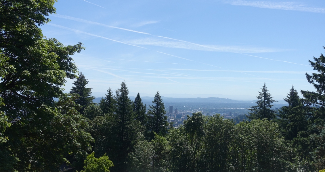 Image Four