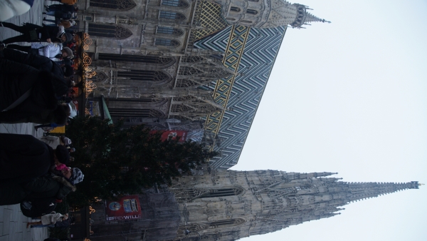 Image Five