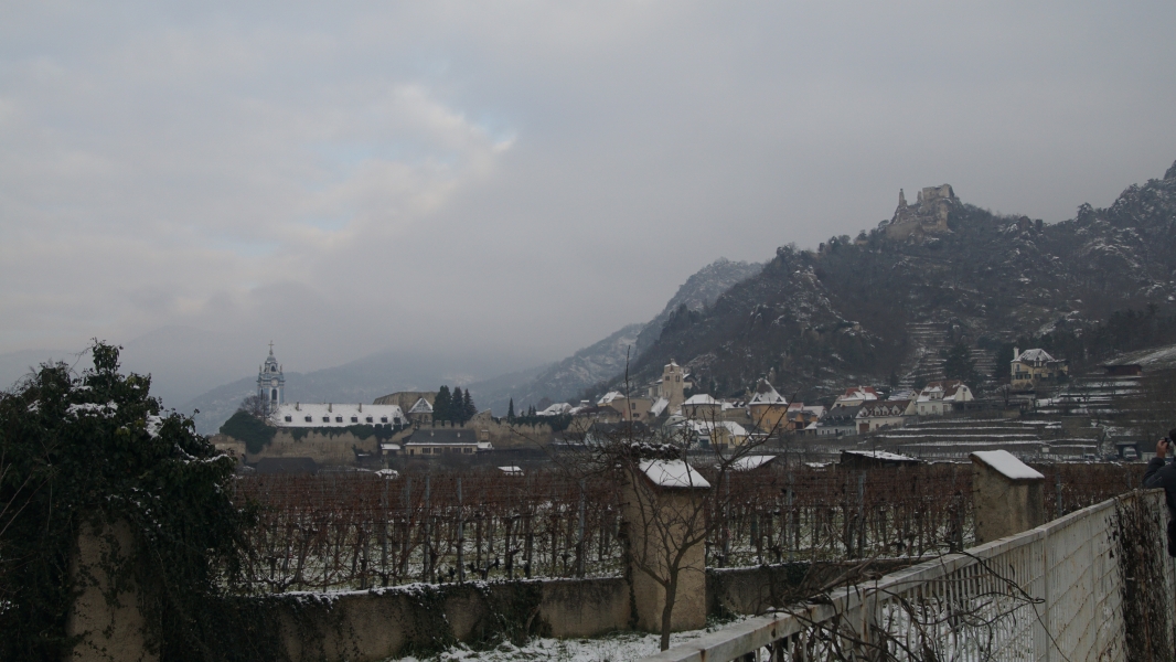 Image Three