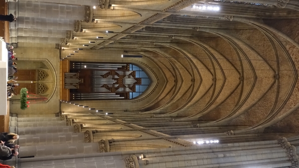 Image Three