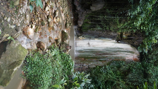 Image Four