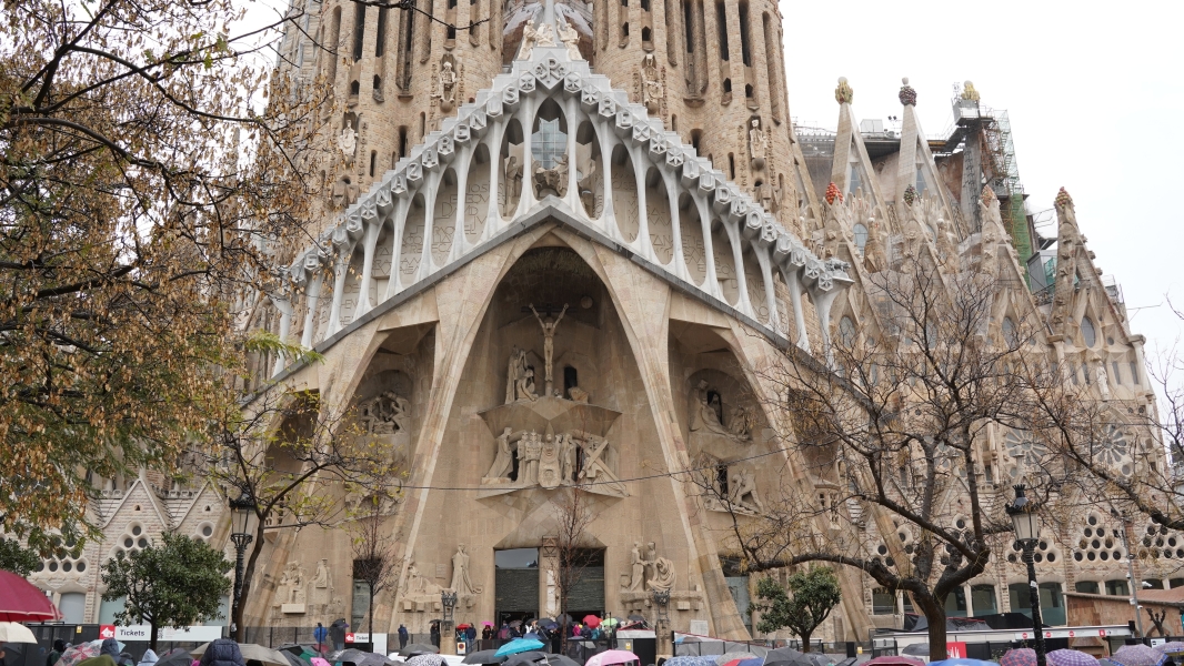 Image Seven