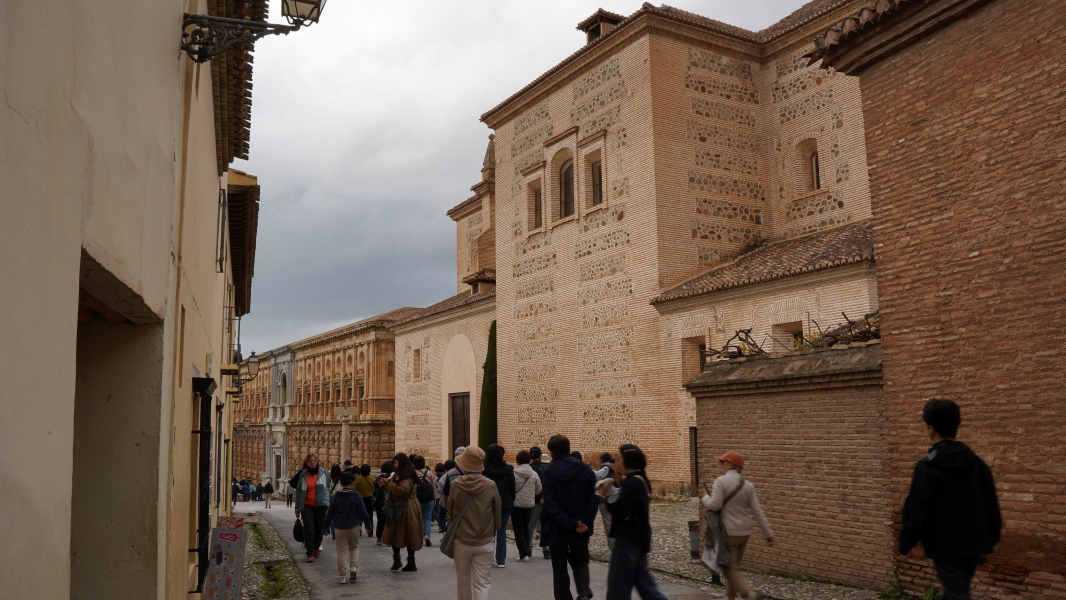 Image Seven