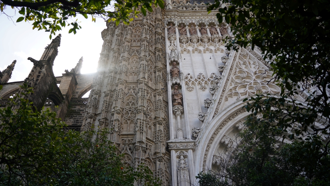 Image Three