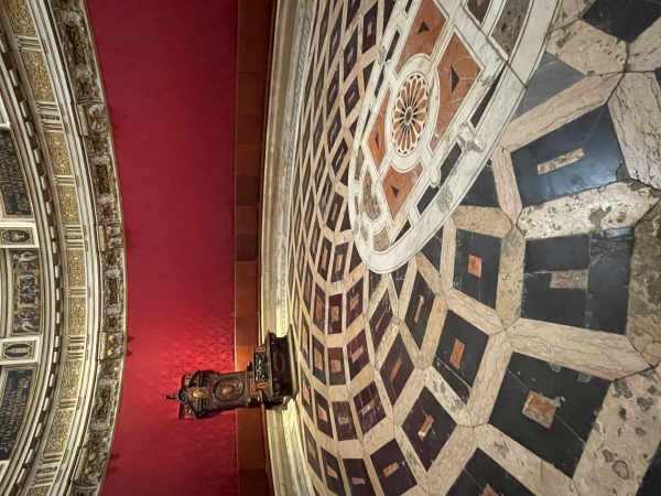 Image Seven