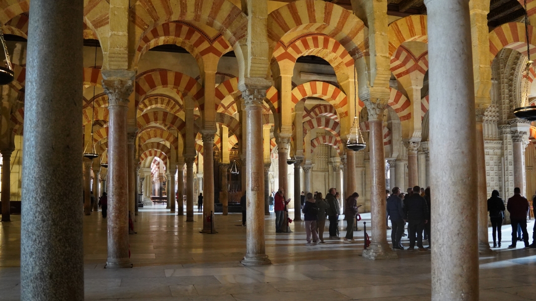 Image Four