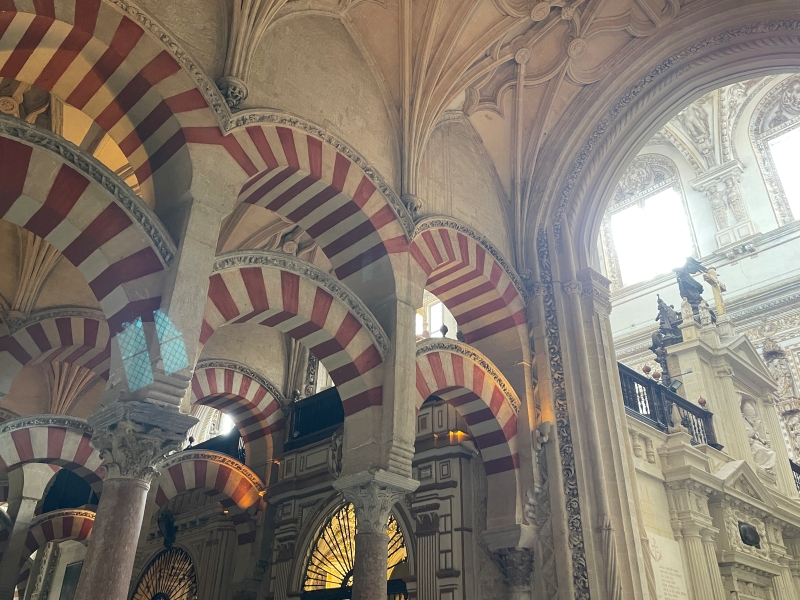 Image Five