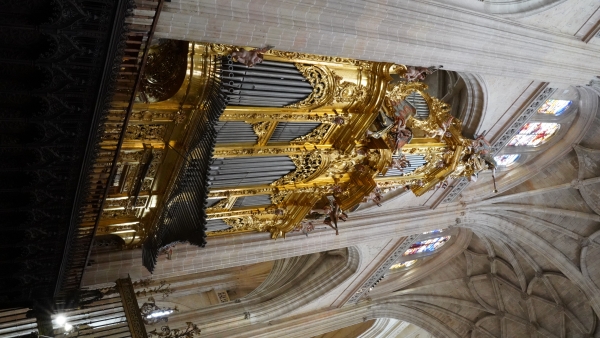 Image Four