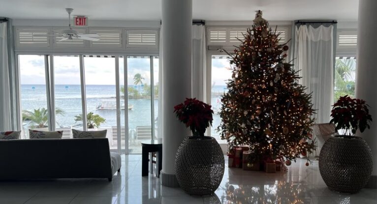 Our 2022 Christmas Vacation